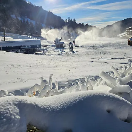 Le En Double Lejlighed Gérardmer