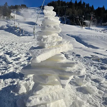 Lejlighed Le En Double Gérardmer